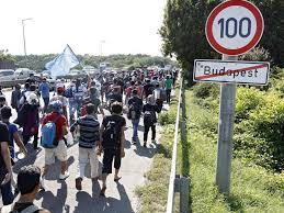 Wie ist das mit dem einführen von zigaretten von deutschland nach ungarn ? Ungarn Fluchtlinge Wir Gehen Nach Deutschland Auch Zu Fuss Rhein Neckar Zeitung Regionalnachrichten Rnz