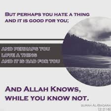 With more than 10,000 quotes and. Allah Knows Best Be Content With His Decree Islamic Quotes Quran Verses Islam