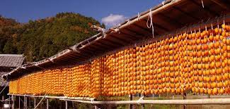 14)поглощение чакры с помощью меча. Hoshigaki Dried Winter Persimmons Wawaza