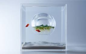 High tunnels are relatively simple greenhouse structures commonly used to extend. 20 Most Unusual Fish Tank Designs For Office And Home
