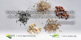 With all these seeds in storage. Why Is It Important To Have Seed Banks And Seed Access Sustainable Secure Food Blog