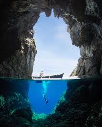 Check spelling or type a new query. 20 Breathtaking Half Underwater Pictures Passport Ocean