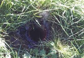 Here's what the council had to say when a 'safe' sign fell onto a man's car  causing £1.5k of damage'