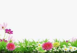 A Imagem De Fundo A Primavera Flores A Grama Png E Psd Fundo Hd Wallpaper Flores Abstratas Wallpapers Natureza