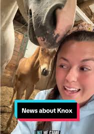 Is Knox Making A New Ride for 2026