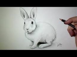Check spelling or type a new query. Comment Dessiner Un Lapin Tutoriel Youtube