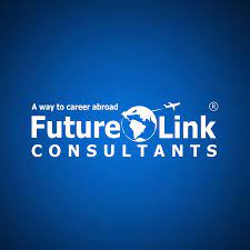 Future Link Consultants - YouTube