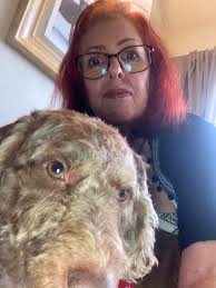 For those who have lost a significant other, retirement isn't what you  planned together , at 66 , I am reinventing a life and future . “ On my  silent days ,