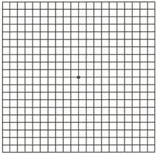 This Is An Amsler Grid It Is Used To Check For Changes In