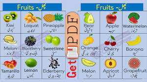 Pin On English To Urdu Vocabulary