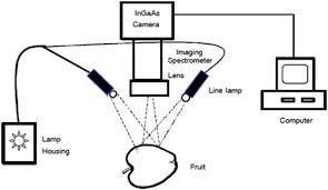 The band is selected automatically or manually by the operator. Mechatronic Components In Apple Sorting Machines With Computer Vision Springerlink
