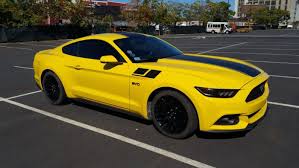 Image result for Yellow 2016 Fleet