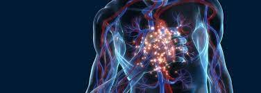 22,00 eur* details innere ursachen von krankheiten ii. Privatpraxis Fur Innere Medizin Sirius In Minden Therapieleistungen