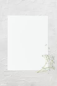 Plain white plain white paper white plain white image white grey wall gray clean background gradients soft simple grey elegant gray texture gray background color. 25 Best White Background Plain Ideas White Background Plain Aesthetic Wallpapers Flower Background Wallpaper