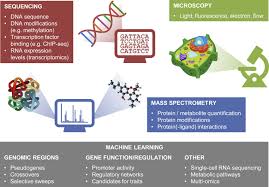 Eukaryotic cells are classified into. Machine Learning In Plant Science And Plant Breeding Sciencedirect