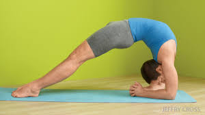 Upward Facing Two Foot Staff Pose Dwi Pada Viparita Dandasana Chair Pose Yoga Yoga For Men Yoga Posses