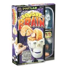 Smartlab Craft Kit Brain Book Brain Brain Parts