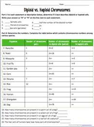 Cell Division Diploid And Haploid Chromosome Numbers Cell Division Chromosome Mitosis Activity