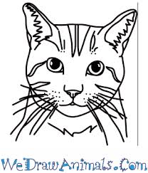 Draw the tail with a slight curve similar to a peeled banana in shape. How To Draw A Cat Head