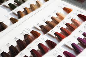 Best Hair Color Chart For Women Hair And Fashion