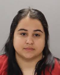 Knox county arrest records available online