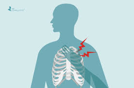 The nerves of the thoracic spine mainly control the muscles and organs of the chest and abdomen.2. Chest Pain In Fibromyalgia Causes Symptoms Treatment