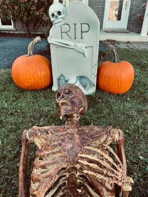 Spooky season has officially begun! 🎃 : r/halloween