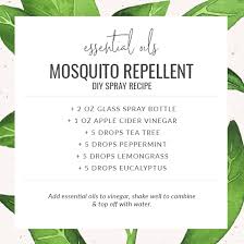 Homemade mosquito spray is really easy to make and it works! 10 Essential Oils For Repelling Bugs Diy Recipes Elevays