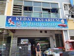 *pelbagai jenis ikan hiasan air tawar, laut/marin, tumbuhan laut/coral & tumbahan akuatik. Aquaplant Malaysia Posts Facebook