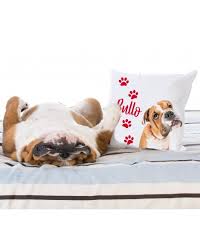 Benvenuto nel fantastico mondo degli animali. Cuscini Personalizzati Decorativi Con Foto Cane