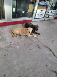 Johnnie Torres (@dj_snowball007) • Instagram photos and videos