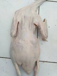 Lihat juga resep kari bebek muda khas aceh enak lainnya. Jual Daging Bebek Karkas Hibrida Di Lapak Nusantara Jaya Farm Bukalapak