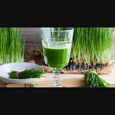 For damaged hair, dry hair, hair loss, premature graying, and dandruff, rub some wheatgrass juice into your scalp. Why This Juice Is Deemed A Wonder Health Drink Wheat Grass Juice Health Onmanorama Healthcare Well Being Nutrition Food Protein