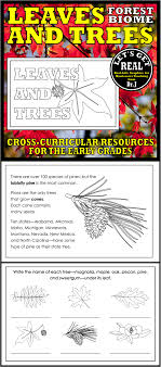 Biomes Found In The United States Leaves And Trees The Forest Biome Biomes Vocabulary Words Review Activities