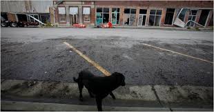 Severe storms affected the hackleburg, alabama area after dark producing some photogenic from hackleburg to chalybeate springs alabama the april 27th, 2011 ef5 tornado left a path of death. Devastated Alabama Town Struggles To Account For Its Missing The New York Times