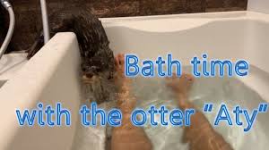 Test the water by dipping your wrist or elbow into the water. The First Bath Time For Otter Aty Otter Life Day 1st åˆã‚ã¦ã®ãŠé¢¨å'‚ Youtube