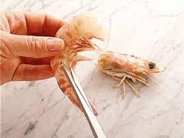We did not find results for: Come Si Puliscono I Gamberi E Le Canocchie Sale Pepe