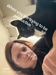 Productivity vs. Cuteness: The Adorable Cat Dilemma