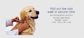 Oxnard Ventura Spay Neuter Veterinary Clinic
