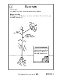 Worksheets Word Lists And Activities Greatschools Parts Of A Plant Kindergarten Math Worksheets Math Worksheets