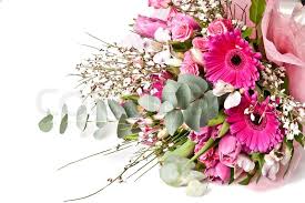 Beautiful bouquet of flowers for birthday. Beautiful Bouquet Of Flowers Isolated Stock Image Colourbox
