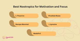 Best Nootropics for Motivation & Concentration: Maximum Productivity!
