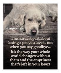 Your World Changes Jpg Dog Quotes Dog Poems Dog Loss Quotes