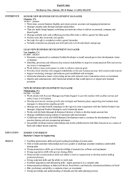 New Business Development Manager Resume Samples Velvet Jobs