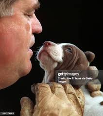 626 Steve Pointer Stock Photos, High-Res Pictures, and Images