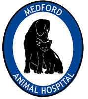 Our adoption process can help you find the perfect animal for your home. Resource Center Veterinarian In Medford Or Medford Animal Hospital