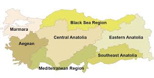 Image result for turkey map