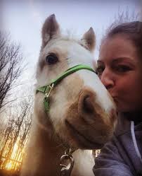 Ohhh Owen. A prime aged, sweet gelding that will run 10+ steers and then  trustworthy enough to let your 4 year old daughter