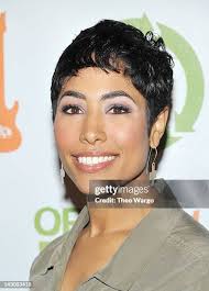 239 Nikki Cross Photos & High Res Pictures