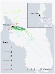 See full list on allthatsinteresting.com Location Of The Study And Travel Routes Of All Bats Obtained During The Download Scientific Diagram